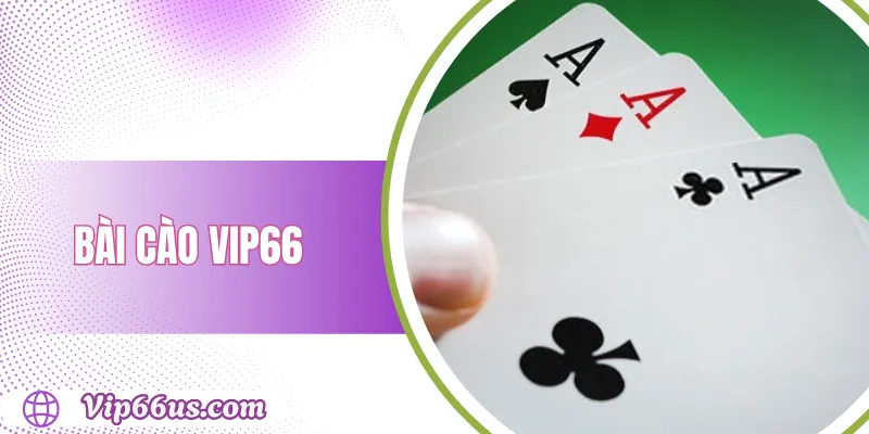 Bài Cào VIP66: Cách Chơi Hay & Kinh Nghiệm Thực Tế 1 Bài Cào VIP66