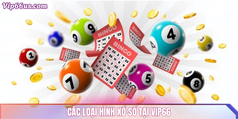 Xổ Số VIP66: Hướng Dẫn Chơi, Tỷ Lệ Trúng Thưởng 2025 2 Các loại hình Xổ Số tại VIP66