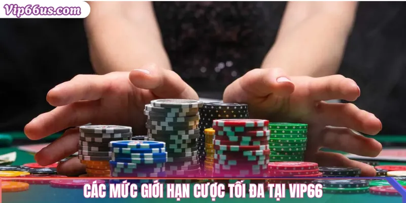 Giới hạn cược Vip66: Mức tối đa, mẹo tránh vượt gấp rút 2 Các mức giới hạn cược tối đa tại Vip66