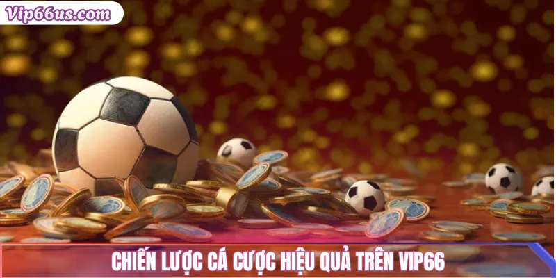 Thể Thao VIP66: Cập Nhật Trực Tiếp, Tỷ Lệ Cá Cược Hấp Dẫn 3 Chiến lược cá cược hiệu quả trên VIP66