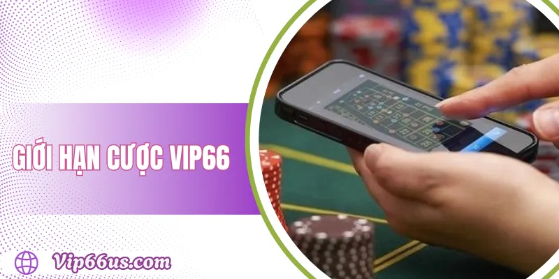 Giới hạn cược Vip66: Mức tối đa, mẹo tránh vượt gấp rút 1 Giới hạn cược Vip66