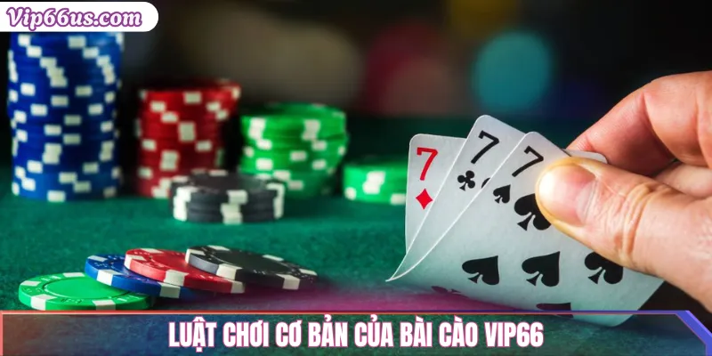 Bài Cào VIP66: Cách Chơi Hay & Kinh Nghiệm Thực Tế 2 Luật chơi cơ bản của Bài Cào VIP66