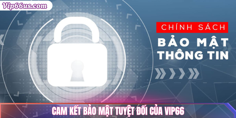 Chính Sách Bảo Mật VIP66 – Cam Kết Giữ An Toàn Tuyệt Đối 1 Cam Kết Bảo Mật Tuyệt Đối Của VIP66