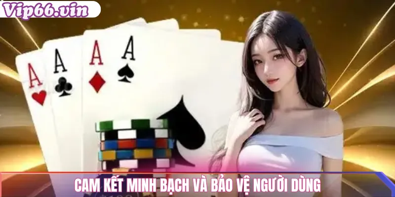 Miễn Trừ Trách Nhiệm vip66 – Chính Sách Minh Bạch Và Rõ Ràng 2 Cam kết minh bạch và bảo vệ người dùng